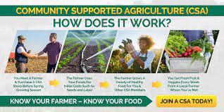 community supported agriculture shares