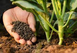 eco-friendly fertilizers