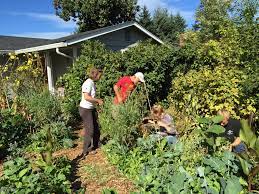 eugene permaculture