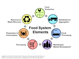 local food systems