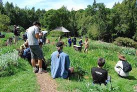 permaculture workshops