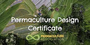 permaculture design certificate course