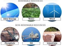 10 examples of renewable resources