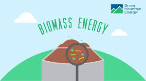 biomass renewable energy