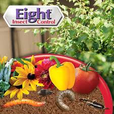 insecticide for vegetable garden