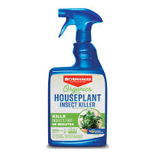 natural insecticide for indoor plants