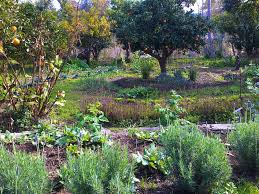 permaculture courses near me