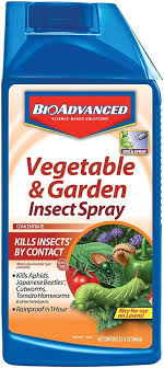 safe insecticide for vegetable garden