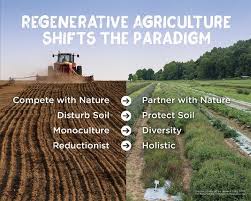 soil regeneration