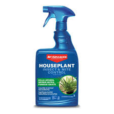 best insecticide for plants