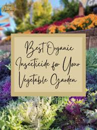 best organic pesticide for vegetable garden