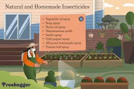 natural pest control for vegetable garden