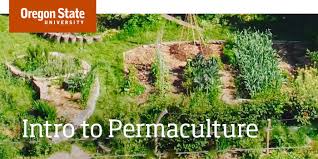 online permaculture course