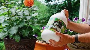 best organic insecticide for vegetable garden