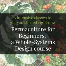 permaculture certification online