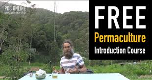 permaculture degree online