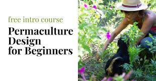 study permaculture online