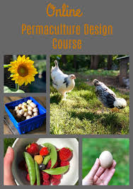 online permaculture