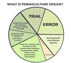 social permaculture course