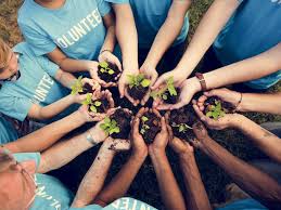 volunteer activities near me