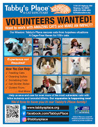 volunteer opportunities near me